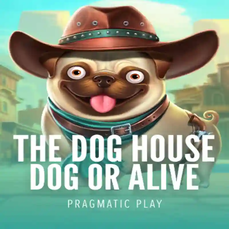 Jugar Dog House Dog & Alive en fan88